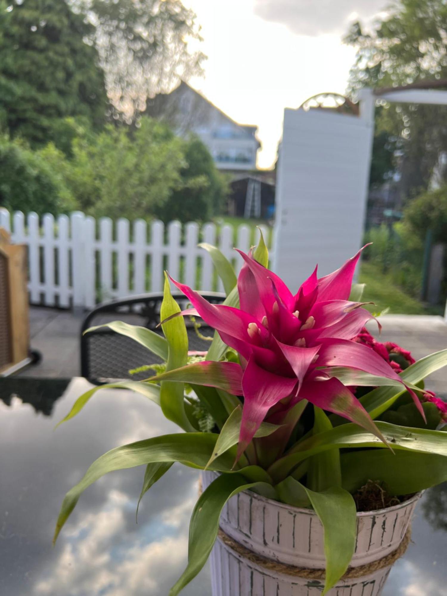 Auszeit Im Pott - Ferienwohnung Lavendel Herten  Zewnętrze zdjęcie